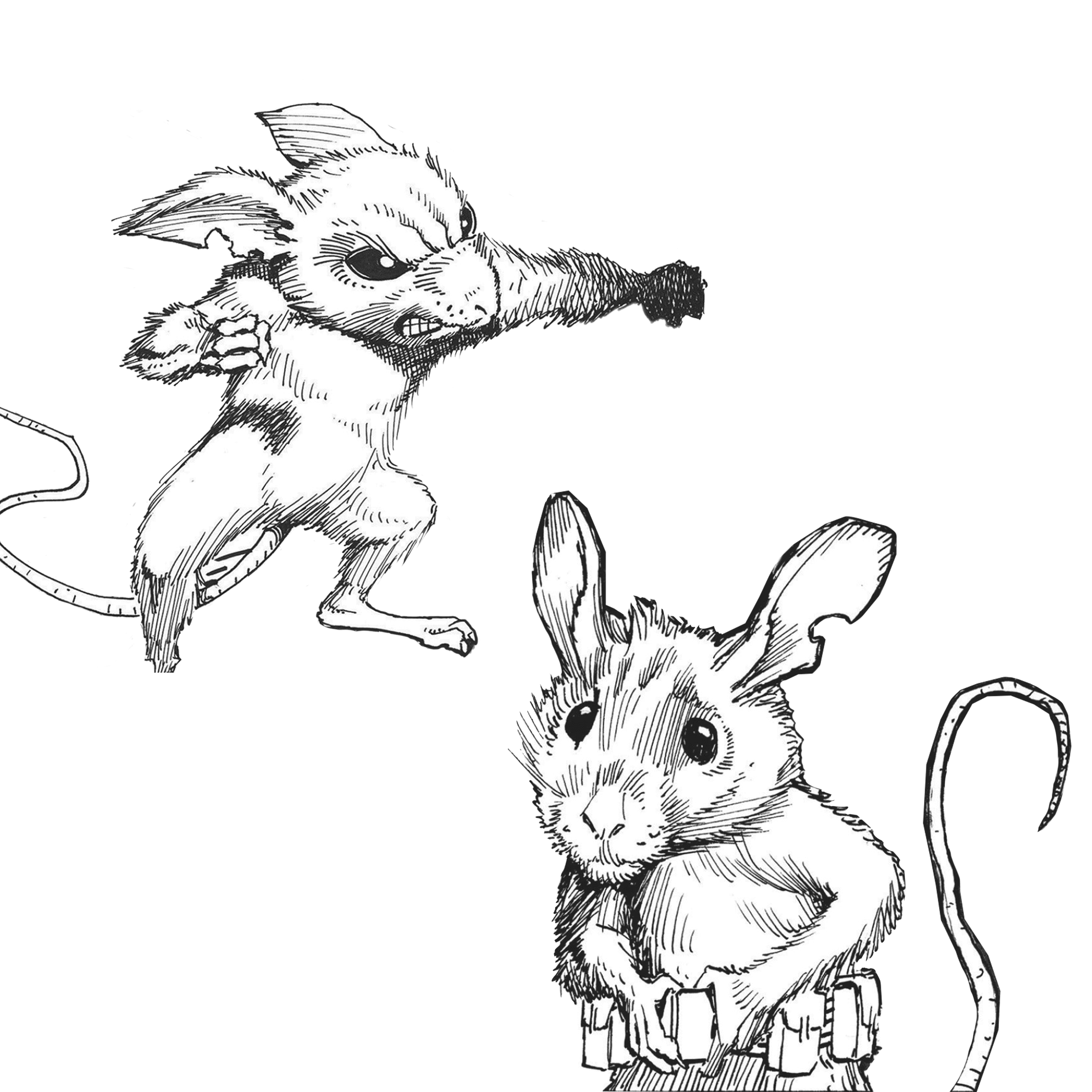 Illustration numéro 5
